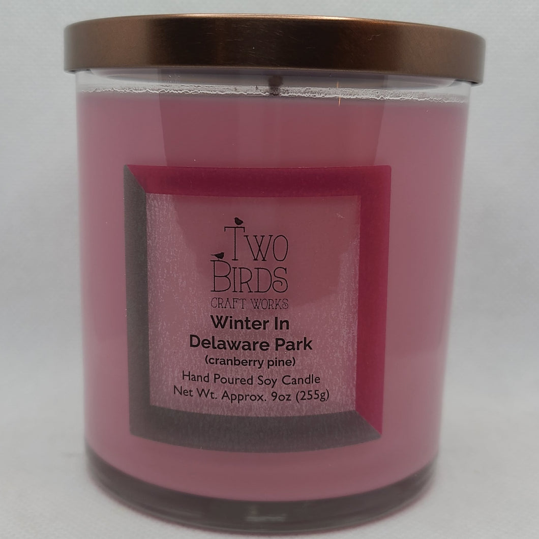 Winter In Western New York Collection: 'Winter In Delaware Park' 9oz Soy Candle