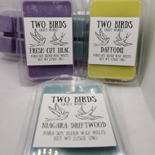 Load image into Gallery viewer, Wax Melt Packs - 2.75oz
