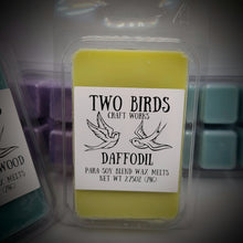 Load image into Gallery viewer, Wax Melt Packs - 2.75oz
